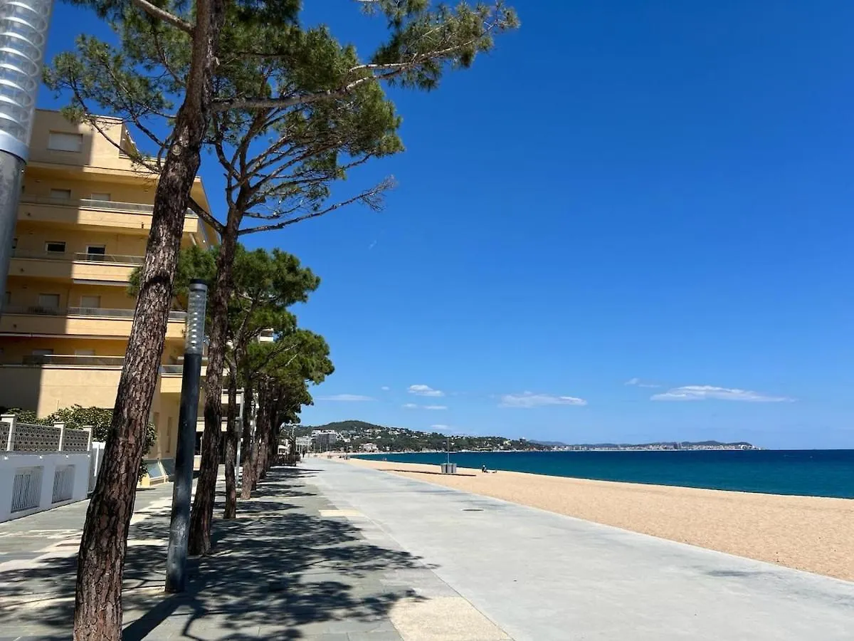 Villa 10 People, 150 M From The Sea, Pool And Garden Platja d'Aro